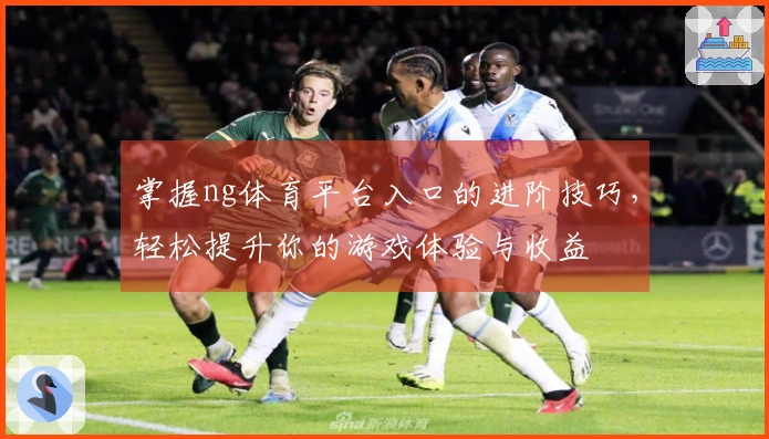 掌握ng体育平台入口的进阶技巧，轻松提升你的游戏体验与收益