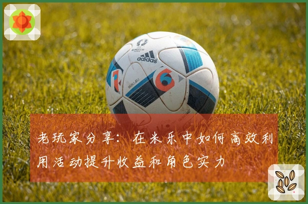 老玩家分享：在米乐中如何高效利用活动提升收益和角色实力