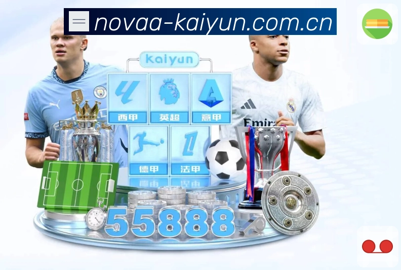 开云体育APP 官方推荐图